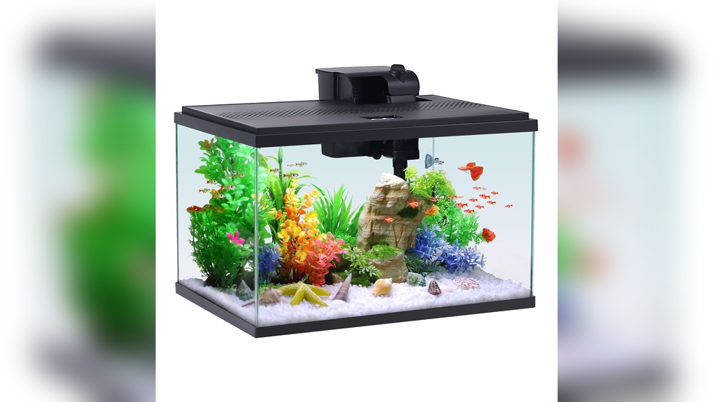 10 Gallon Fish Tank