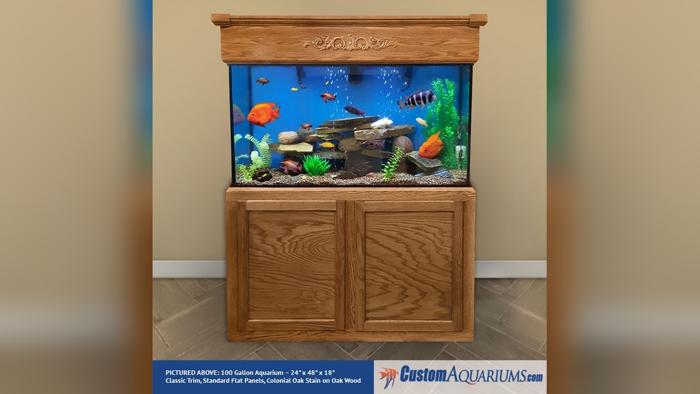 Regular Fish Tank 100 Gallon Fish Tank - Smart Pets Lover