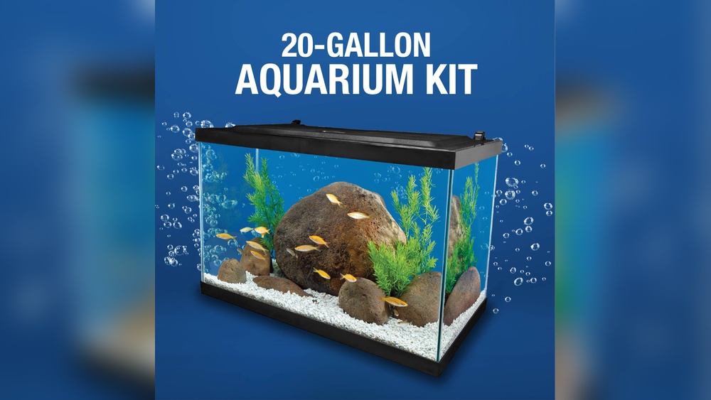 20 Gallon Aquarium