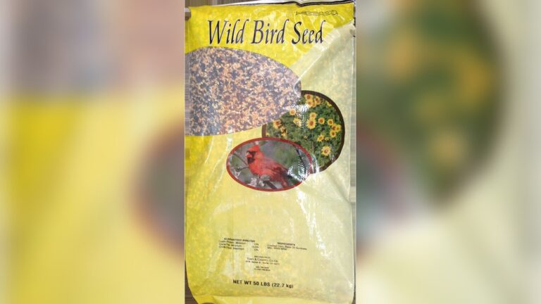 50 Lb Wild Bird Seed