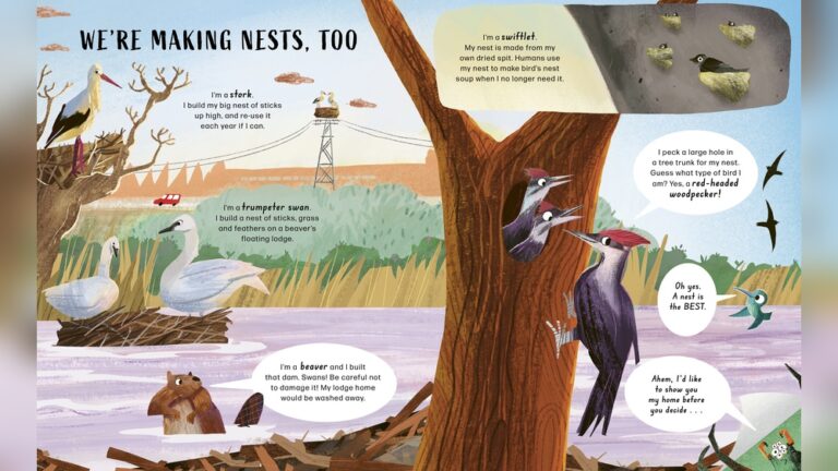 7 Best Birding Lodges In The World