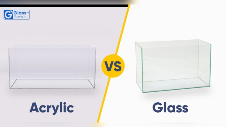 Acrylic Vs Glass Aquarium