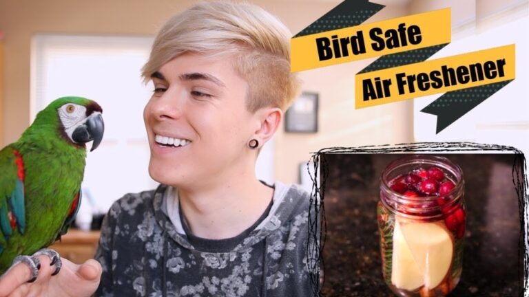 Air Freshener Safe For Birds