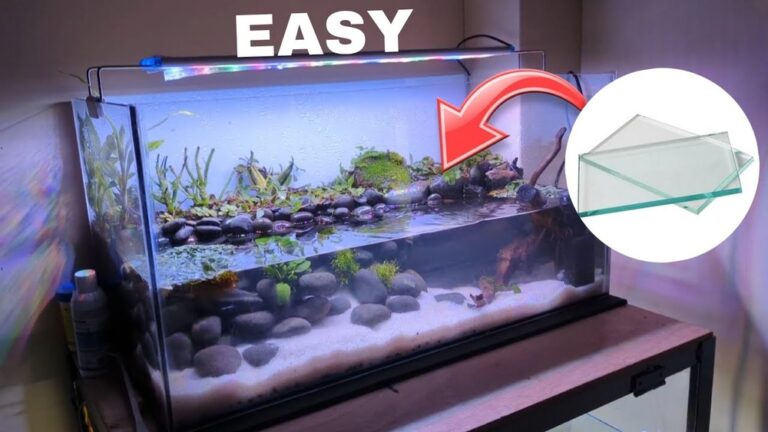 Aquarium Decoration Ideas Diy