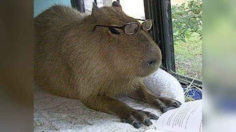 Are Capybaras Smart: Surprising Facts About Their Intelligence