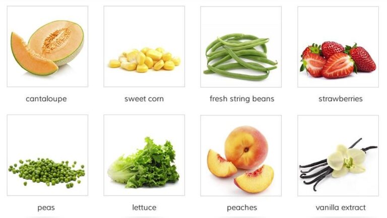 Bait For Groundhogs: Top Effective Lures to Catch Them Fast