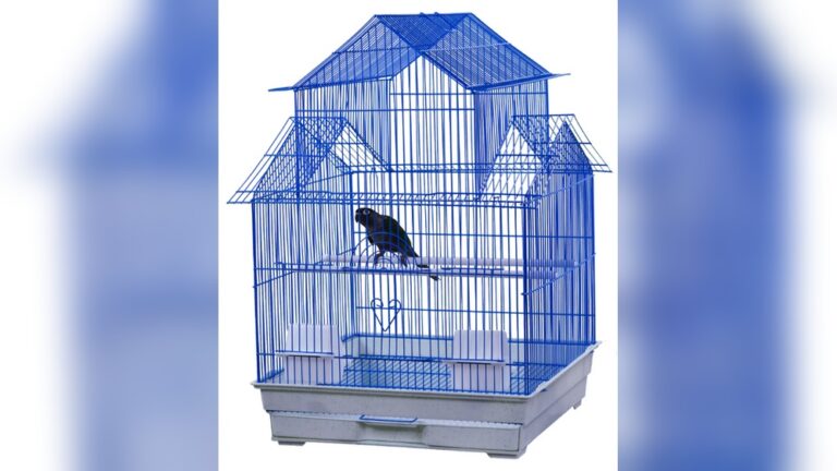 Best 18X18 Bird Cage For Your Home