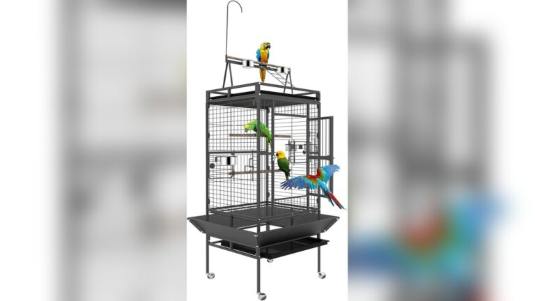 Best 18X18 Bird Cages That Are Budget Friendly
