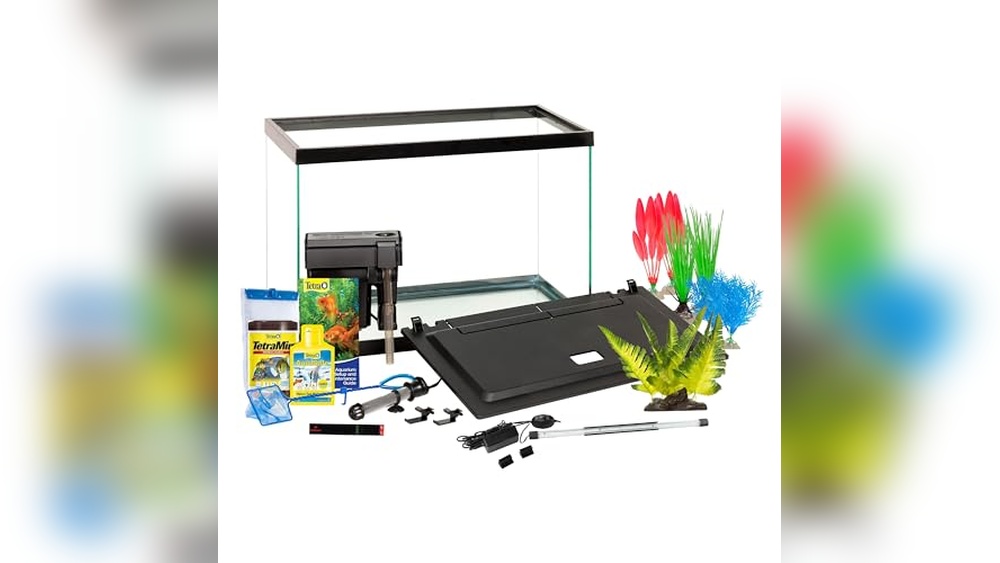 Best 20 Gallon Tank for Community Fish: Top Kits and Accessories Reviewed