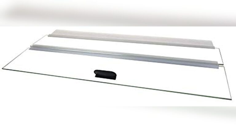 Best 40 Breeder Tank for Cichlids: Top Picks and Essential Accessories