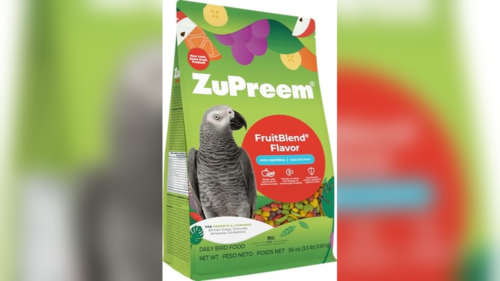 Best African Grey Pellet (Complete) for Healthy and Happy Parrots
