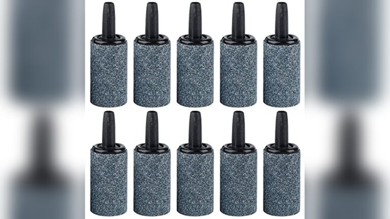 Best Air Stones for Fine Bubbles to Enhance Aquarium Oxygenation