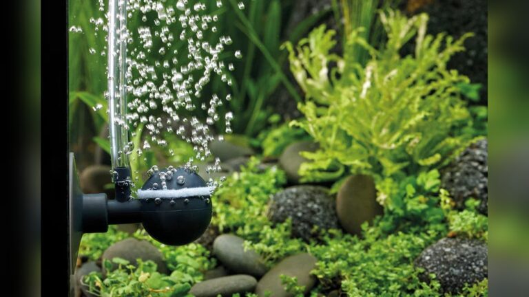 Best Aquarium Air Pump