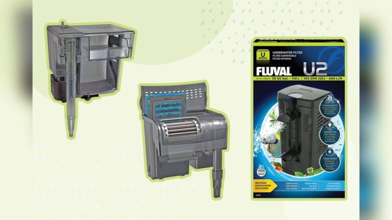 Best Aquarium Filter
