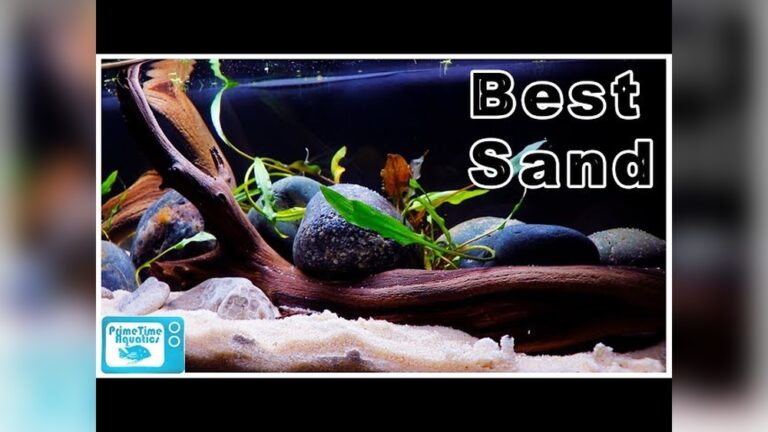 Best Aquarium Sand