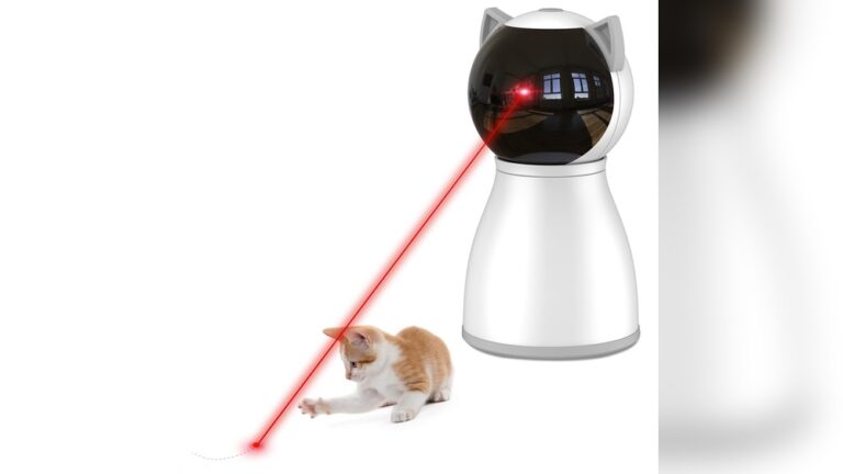 Best Automatic Laser Toy for Cats: Ultimate Fun & Exercise Guide