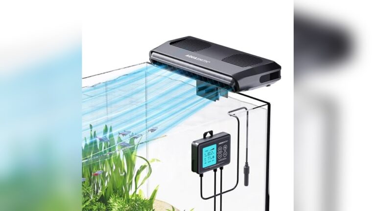 Best Axolotl Tank Size And Chiller Guide for Optimal Aquarium Care