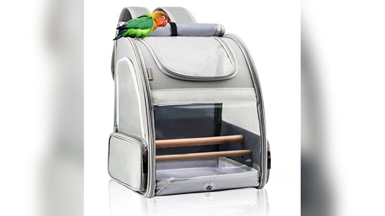 Best Backpack Carrier for Small Parrots: Top Portable Travel Cages Reviewed