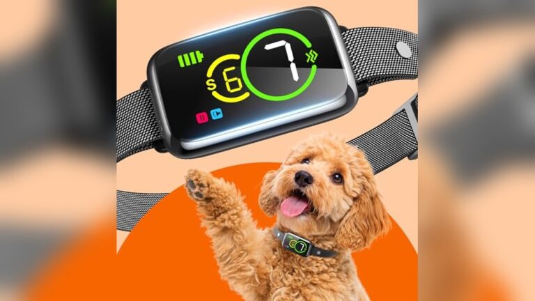 Best Bark Collar for Small Dogs: Top Humane and Waterproof Choices