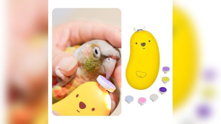 Best Beak Care Kit (Conditioning) for Healthy and Happy Birds