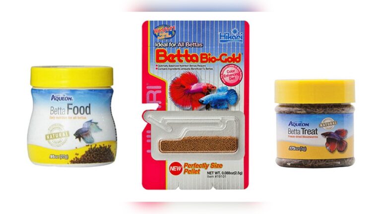 Best Betta Food