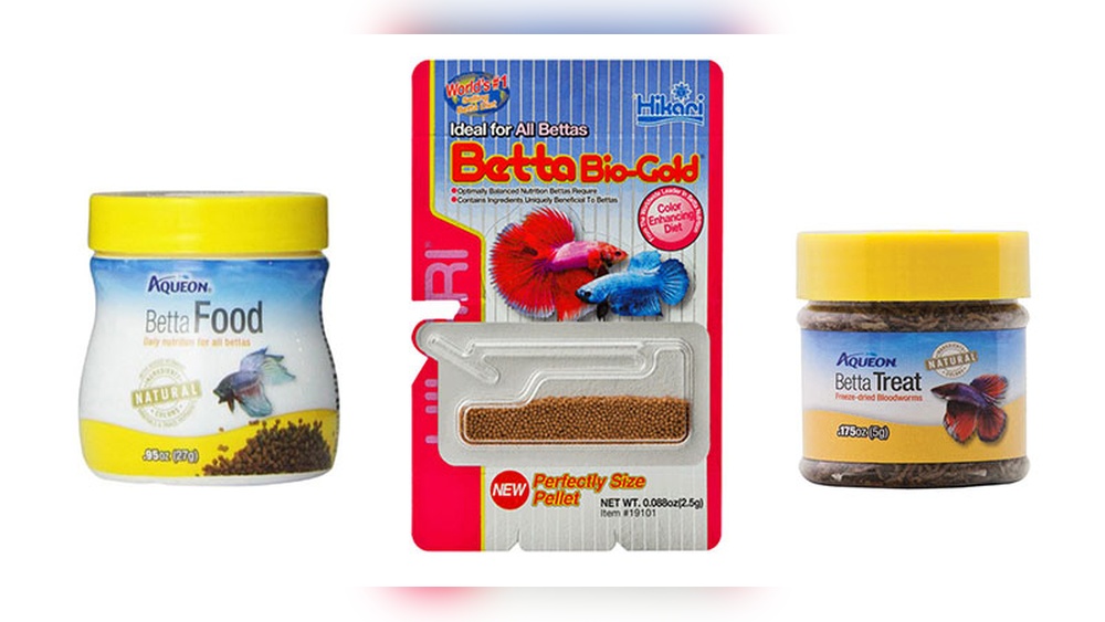 Best Betta Food