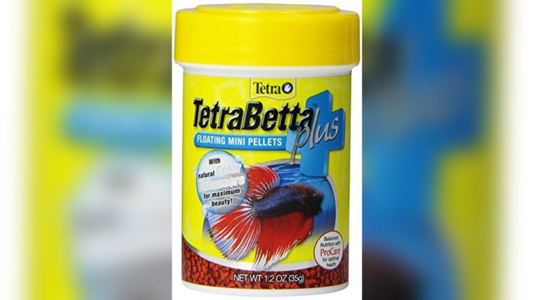 Best Betta Pellets for Color: Top Picks to Brighten Your Fish