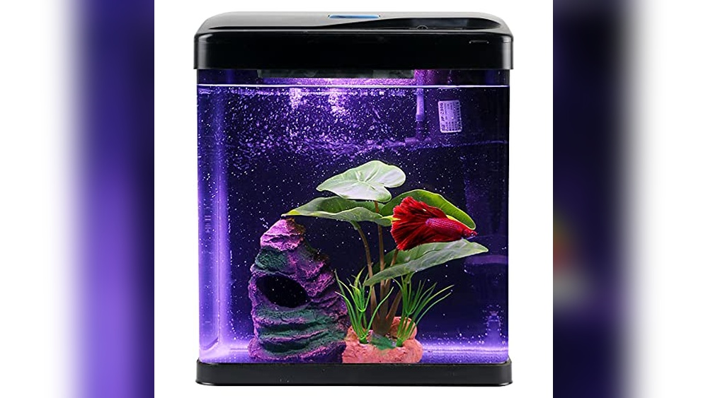 Best Betta Tank for Office Desk: Compact, Stylish, and Easy to Maintain