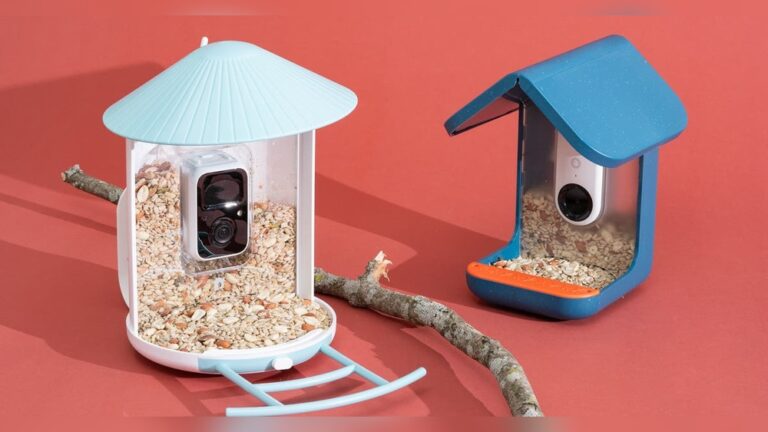 Best Bird Feeder Cameras