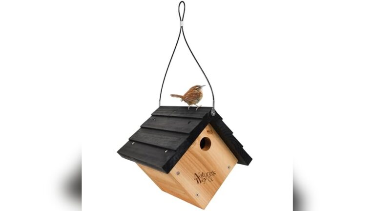 Best Bird House for Wrens (Proper Size) to Attract Happy Nesters