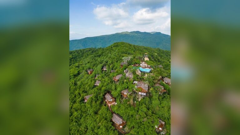 Best Bird Nest Resort Thailand