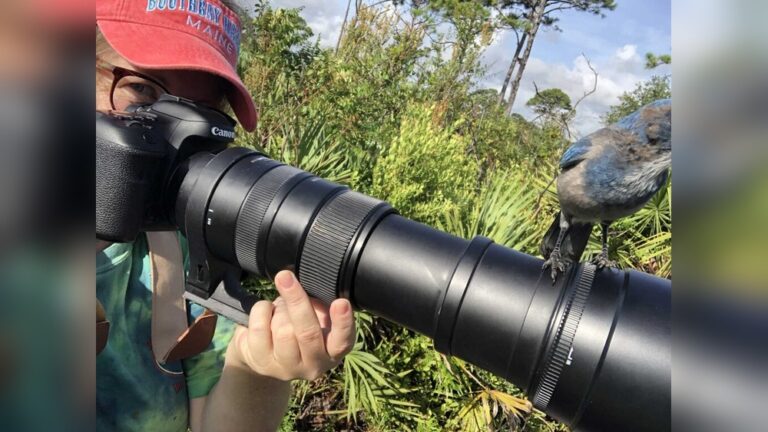 Best Bird Watching Lens