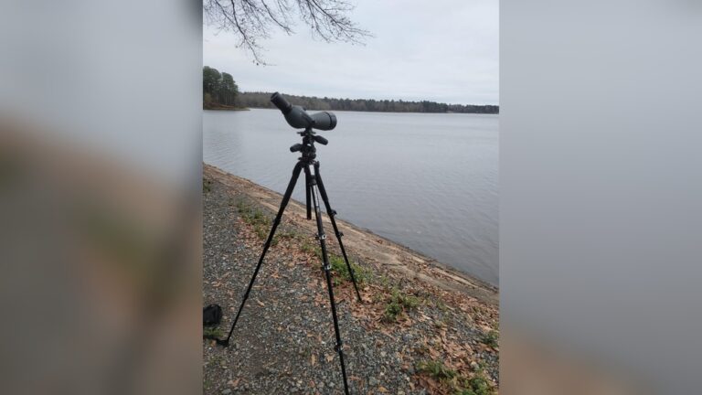 Best Birding Scope Tripod