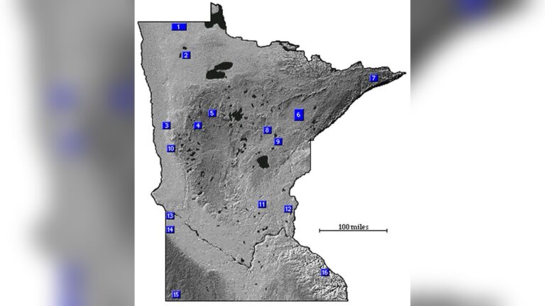 Best Birding Sites In Minnesota