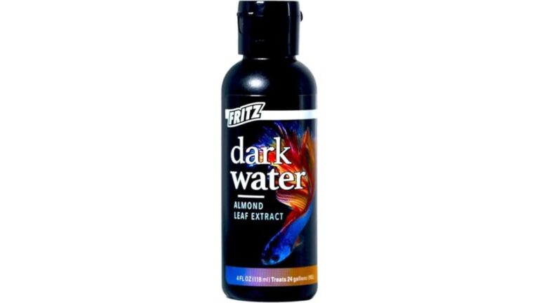 Best Blackwater Extract for Betta: Top Natural Water Conditioners Reviewed