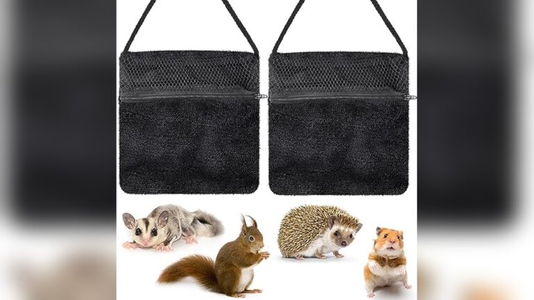 Best Bonding Pouch for Sugar Gliders: Cozy, Breathable, and Portable Choices