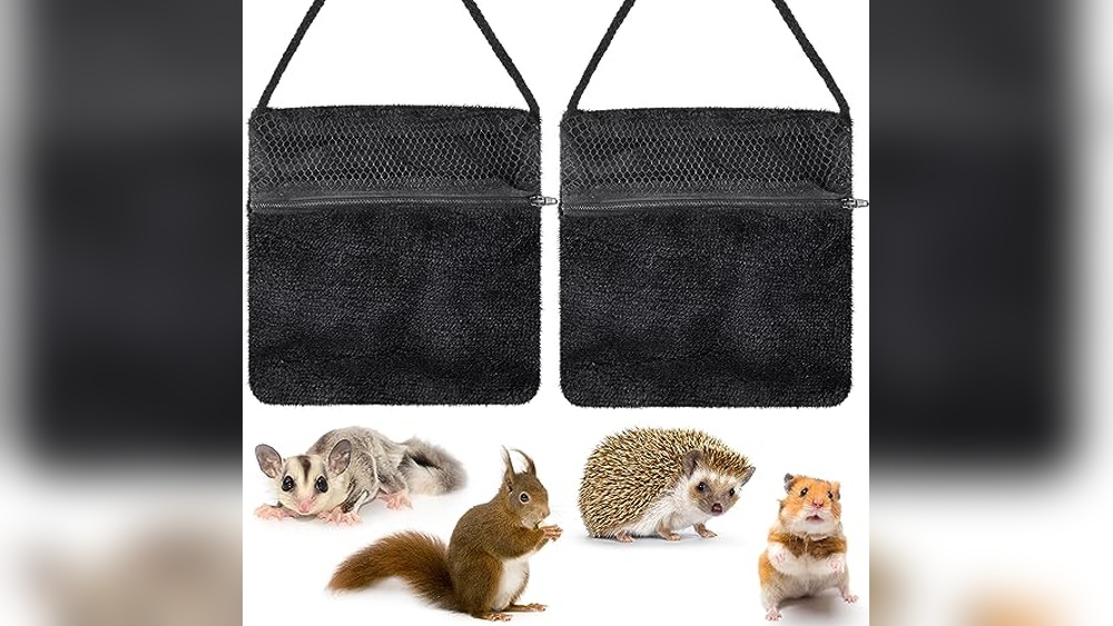 Best Bonding Pouch for Sugar Gliders: Cozy, Breathable, and Portable Choices