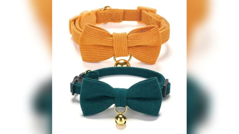 Best Bowtie Collar for Cats: Top Stylish and Safe Choices Reviewed