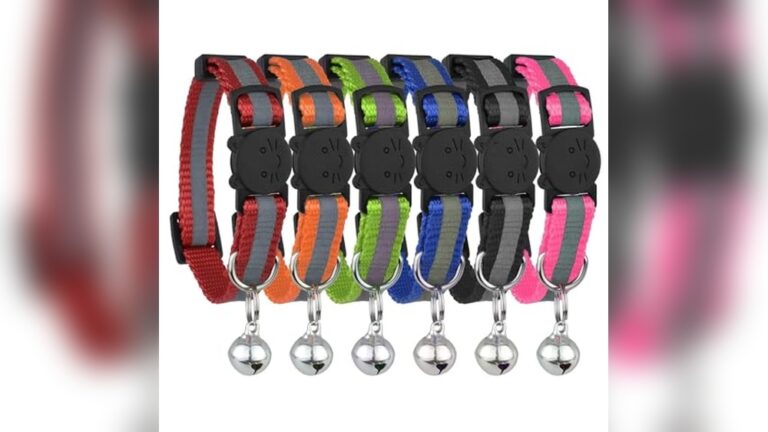 Best Breakaway Collar for Cats: Safe, Reflective, and Comfortable Choices