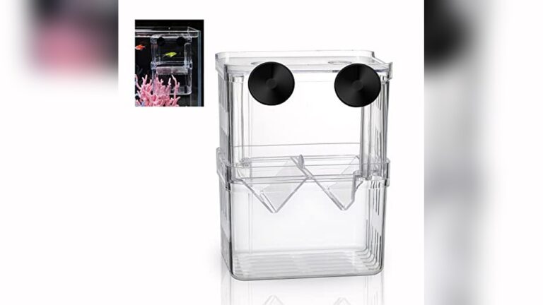 Best Breeding Box for Guppies: Top Picks for Healthy Fry Growth