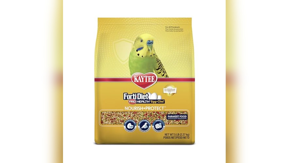 Best Breeding Diet for Budgies: Top Nutritious Food Choices Reviewed