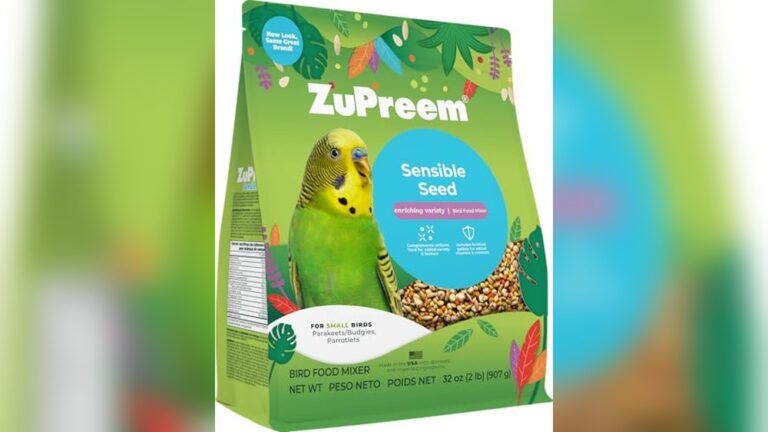 Best Budgie Pellet Vs Seed Transition Tips for Healthy Bird Nutrition