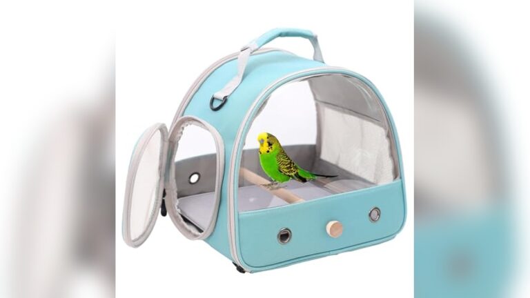 Best Budgie Travel Carrier (Compact) for Safe and Comfortable Journeys
