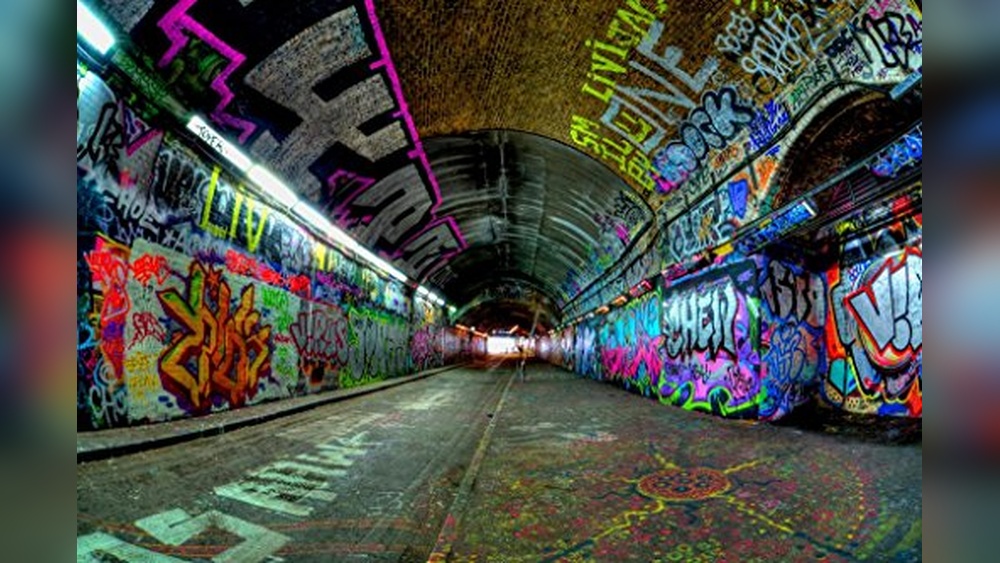 Best Burrow-Supporting Tunnels (Thick Walls) for Urban Graffiti Art ...