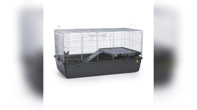 Best Cage for Syrian Hamsters: Top Spacious and Durable Habitats Reviewed