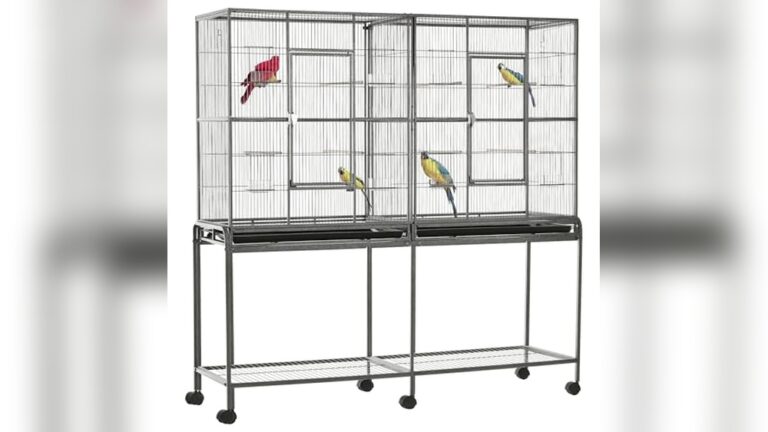 Best Cage Stand With Storage for Organizing Your Pet’s Space Efficiently