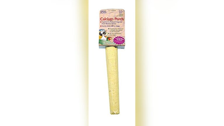 Best Calcium Perch for Lovebirds: Top Picks for Healthy Beaks and Nails