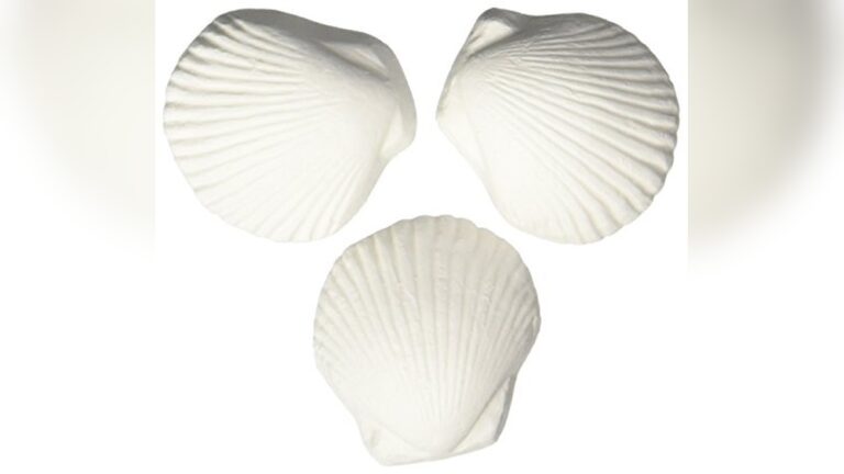 Best Calcium Source for Snail Shells: Top Natural Mineral Picks