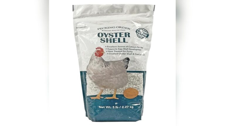 Best Calcium Supplement for Egg-Laying Hens to Strengthen Eggshells