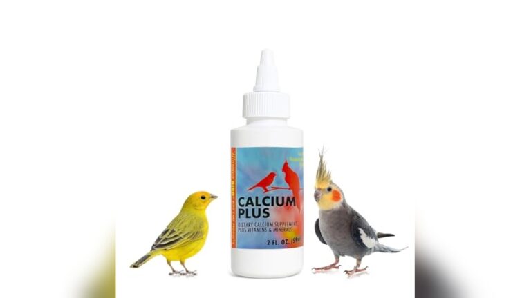 Best Calcium Support for Laying Hens (Cockatiel) to Strengthen Eggshells